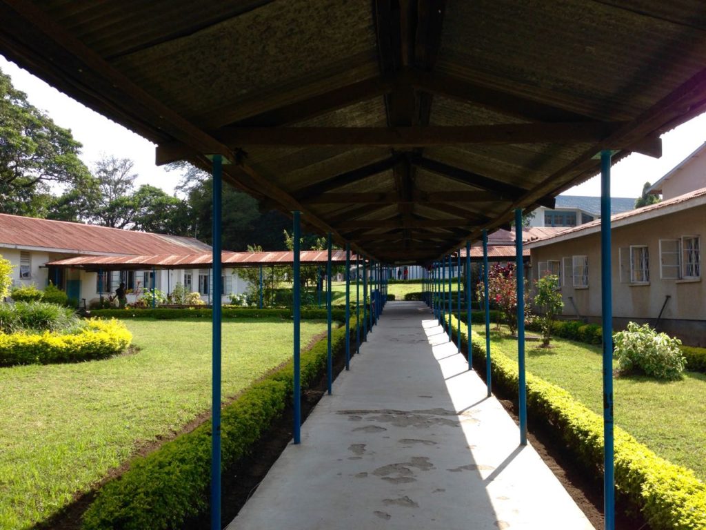 mount meru hospital arusha