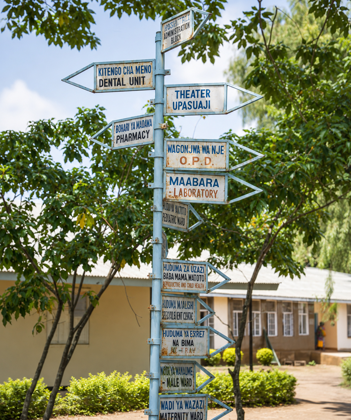 Healthcare placement facility in Arusha